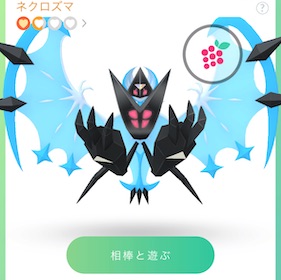 相棒の写真を撮る