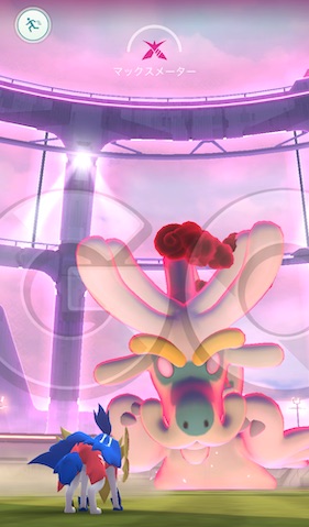 ダイマックスジジーロンはソロで倒せる？