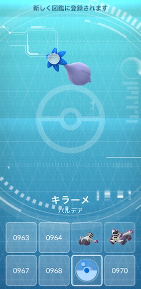 キラーメポケモン図鑑登録