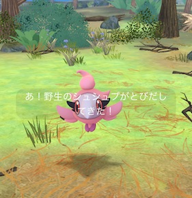 シュシュプタスク