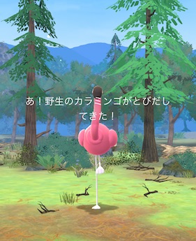 カラミンゴタスク