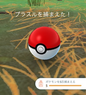ポケモンを５匹捕まえる