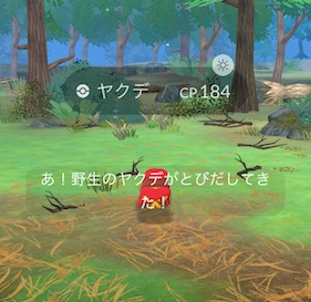 旧正月２０２６コレクションチャレンジ