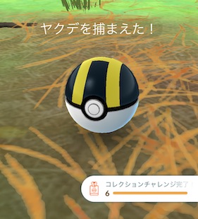 旧正月２０２６コレクションチャレンジ