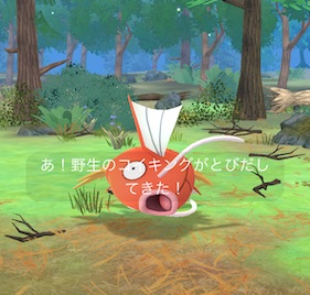 ポケモンを12匹捕まえる