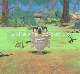 ポケモンを12匹捕まえる