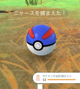 ポケモンを12匹捕まえる