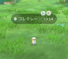 色違いコレクレー