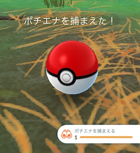 ポチエナを捕まえる