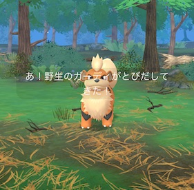 ほのおタイプのポケモンを７匹捕まえる
