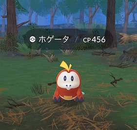 ほのおタイプのポケモンを７匹捕まえる