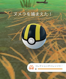 ぽこあポケモンコレクションチャレンジ２