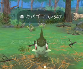 ポケモンを２５匹捕まえる