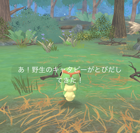 ポケモンを２５匹捕まえる