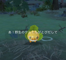 くさタイプのポケモンを７匹捕まえる