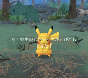 でんきタイプのポケモンを8匹捕まえる