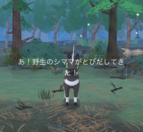 でんきタイプのポケモンを8匹捕まえる