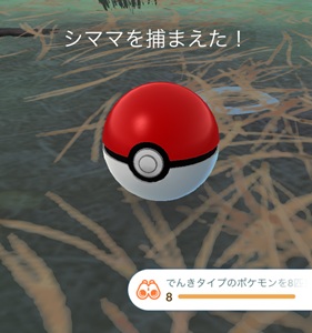 でんきタイプのポケモンを8匹捕まえる