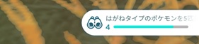 はがねタイプのポケモンを５匹捕まえる