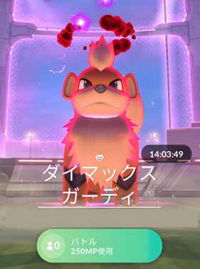 ダイマックスガーディはソロで倒せる