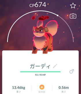 ダイマックスガーディはソロで倒せる