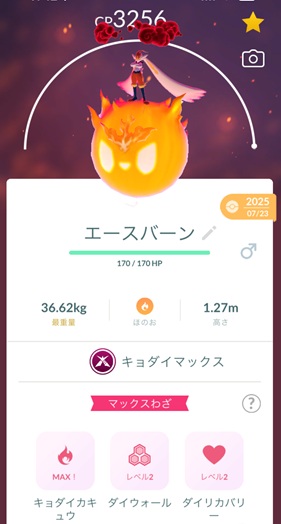 キョダイマックスエースバーン