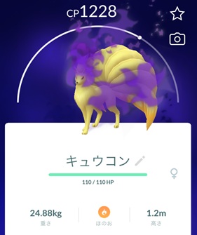 シャドウキュウコンは何人で倒せる?