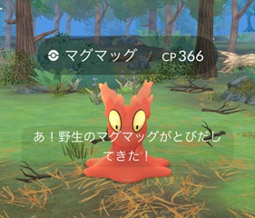 マグマッグ