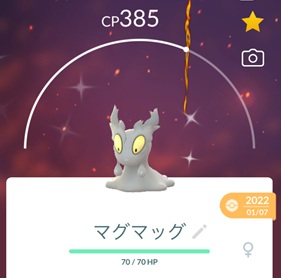 色違いマグマッグ