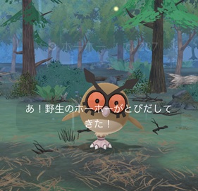ひこうタイプのポケモンを５回強化する