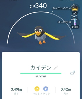 カイデン