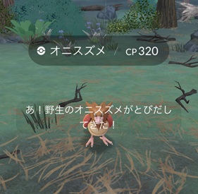 オニスズメ