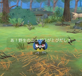 ひこうタイプのポケモンを５回強化する