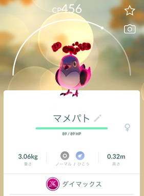 ダイマックスマメパトはソロで倒せる