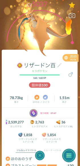 メガリザードンＹ
