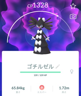 ゴチルゼルはソロで倒せる