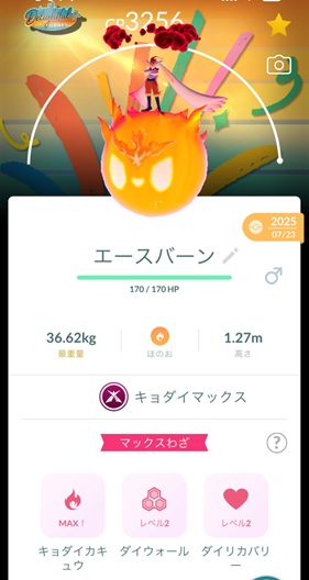 キョダイマックスエースバーン